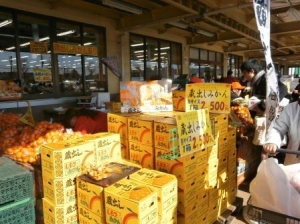 蔵出しみかんまつり
