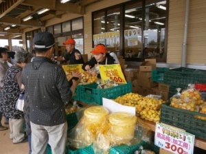 とれたて広場さん:南高梅の販売