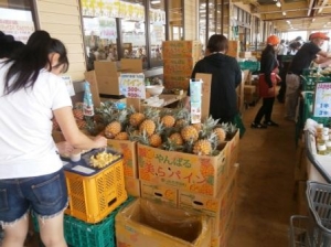 やんばる市場さん:パイナップルの販売